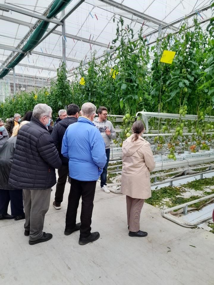 Éco-serres à tomates - 2022