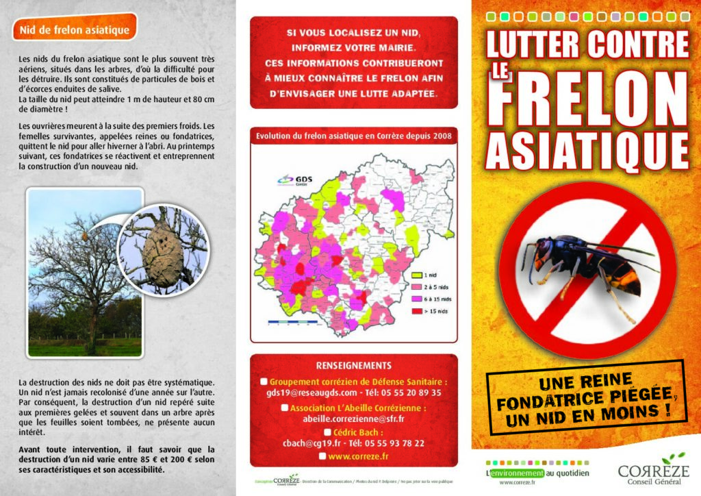 Image du document lutter_contre_frelon_asiatique@egletons-correze