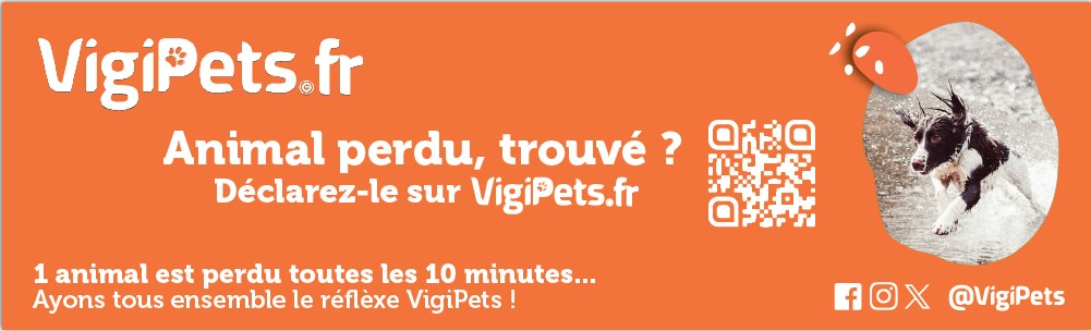 vigipets plateforme animaux perdus ou retrouvés